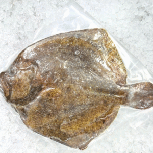 Turbot Whole