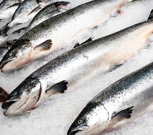 Arctic Char Whole - Image 2