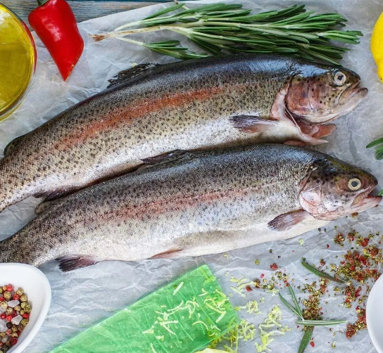 Tasmanian Trout Whole - Image 2