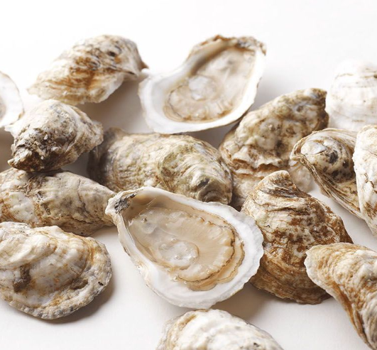 Peconic Oysters