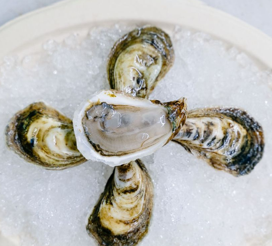Beausoleil Oysters