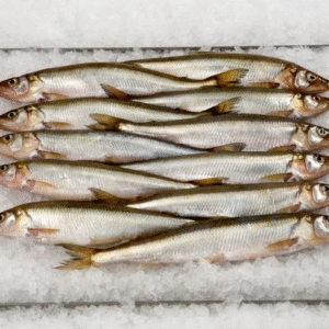 Smelts Whole