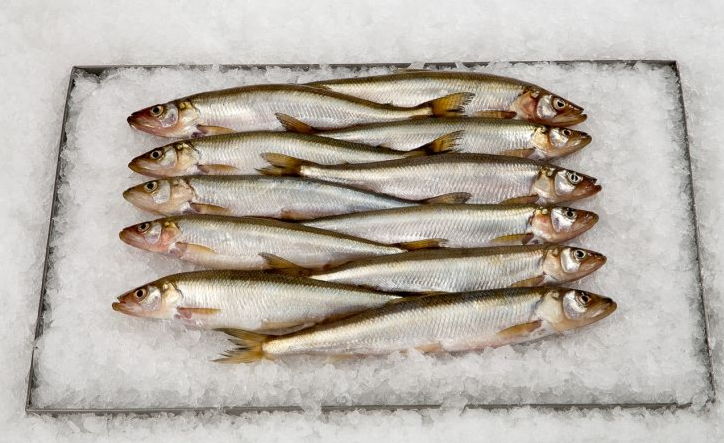 Smelts Whole