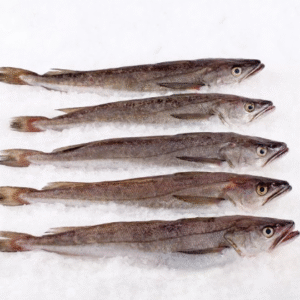 Whiting Whole