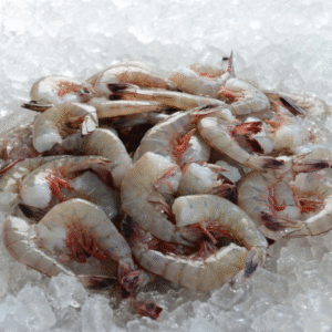 Large Carolina Shrimp