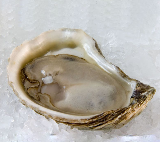 Beausoleil Oysters - Image 2