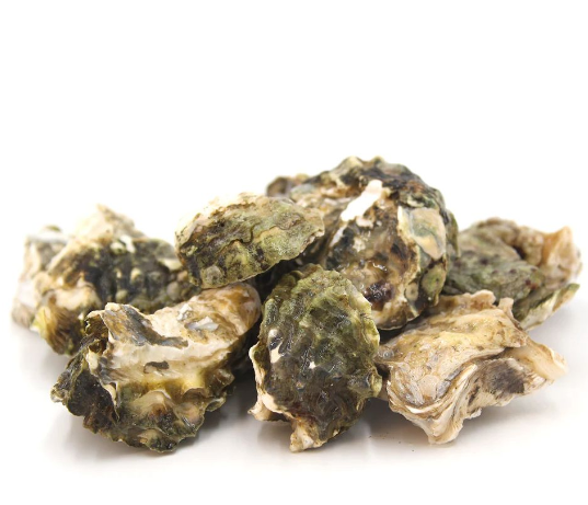 Kumamoto Oysters