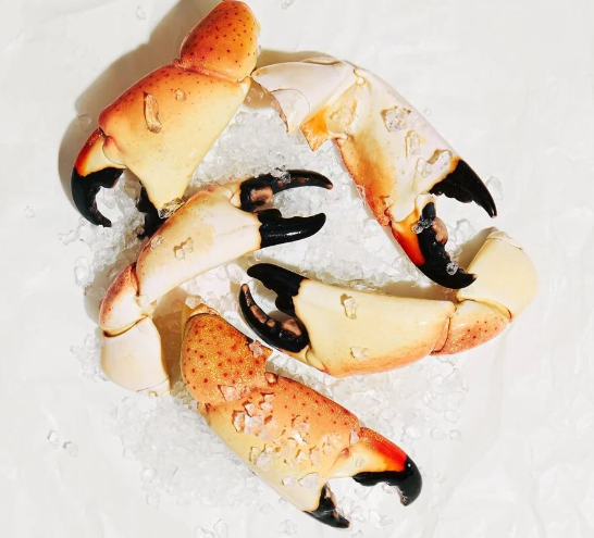 Stone Crab Claws - Image 2