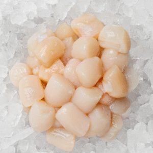 Cape Cod Bay Scallops